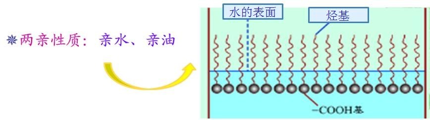 <a href='http://m.ailegame.cn/product/product-0001,0011,0018.shtml' class='keys' title='點(diǎn)擊查看關(guān)于潤(rùn)濕劑的相關(guān)信息' target='_blank'>潤(rùn)濕劑</a>